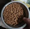 狼孩儿金毛狗粮40斤成犬幼犬中大型狗粮10斤孕犬老年犬全犬期天然粮20斤 5kg主粮(金毛狗粮10斤) 实拍图