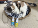 星帮尼猫藓猫癣专用皮肤病喷剂软膏消毒环境喷雾猫咪真菌感染狗狗人用 实拍图