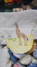 全棉时代婴儿纱布汗巾 儿童宝宝纯棉吸汗背巾25×50cm 斑马+松鼠+长颈鹿3条 实拍图
