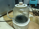 小熊（Bear）全玻璃壶体养生壶恒温壶 办公室多功能煮茶壶花茶壶 0金属养生杯 24h预约24h保温 1L YSH-P10Q7 实拍图