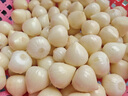云南紫皮独头蒜2025新鲜干蒜独蒜头调味农家自种生鲜蔬菜 5斤 独头蒜 独头蒜大果【3-3.5cm】 实拍图