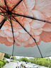蕉下（beneunder）防紫外线遮阳伞三折双层黑胶晴雨伞防晒伞BM664花椿 实拍图
