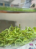 乐品乐茶碧螺春绿茶2025新茶明前特级春茶嫩芽茶叶冷泡茶解暑250g送礼品袋 实拍图