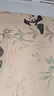水星儿童（MERCURY Kids）熊猫乐园抗菌凉感低敏夏被 100cm×120cm 可机洗水洗 A类可水洗 实拍图