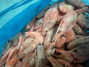 美加佳头籽熟冻北极甜虾净重3斤 90/120规格 头籽率95% 熟冻甜虾 实拍图