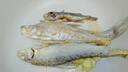 炊大皇炒锅 麦饭石色不沾锅30cm带蒸屉少油烟炒菜锅平底炒锅 电磁炉通用 实拍图