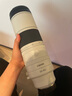 佳能（Canon）RF全画幅微单镜头 专业变焦镜头打鸟 适合R7 RP R10 R5 R6二代 R8 R50 R100微单相机 RF 200-800mm IS USM超远摄变焦 套餐一【UV镜+星光镜 实拍图