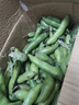 乔诚云南新鲜生大绿心带壳蚕豆米嫩胡豆罗汉豆角大青豆荚时令蔬菜现摘 5斤 实拍图