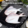 三都港 东海银鲳鱼550g*2包 净重2.2斤 5条/包 源头直发 烧烤 实拍图