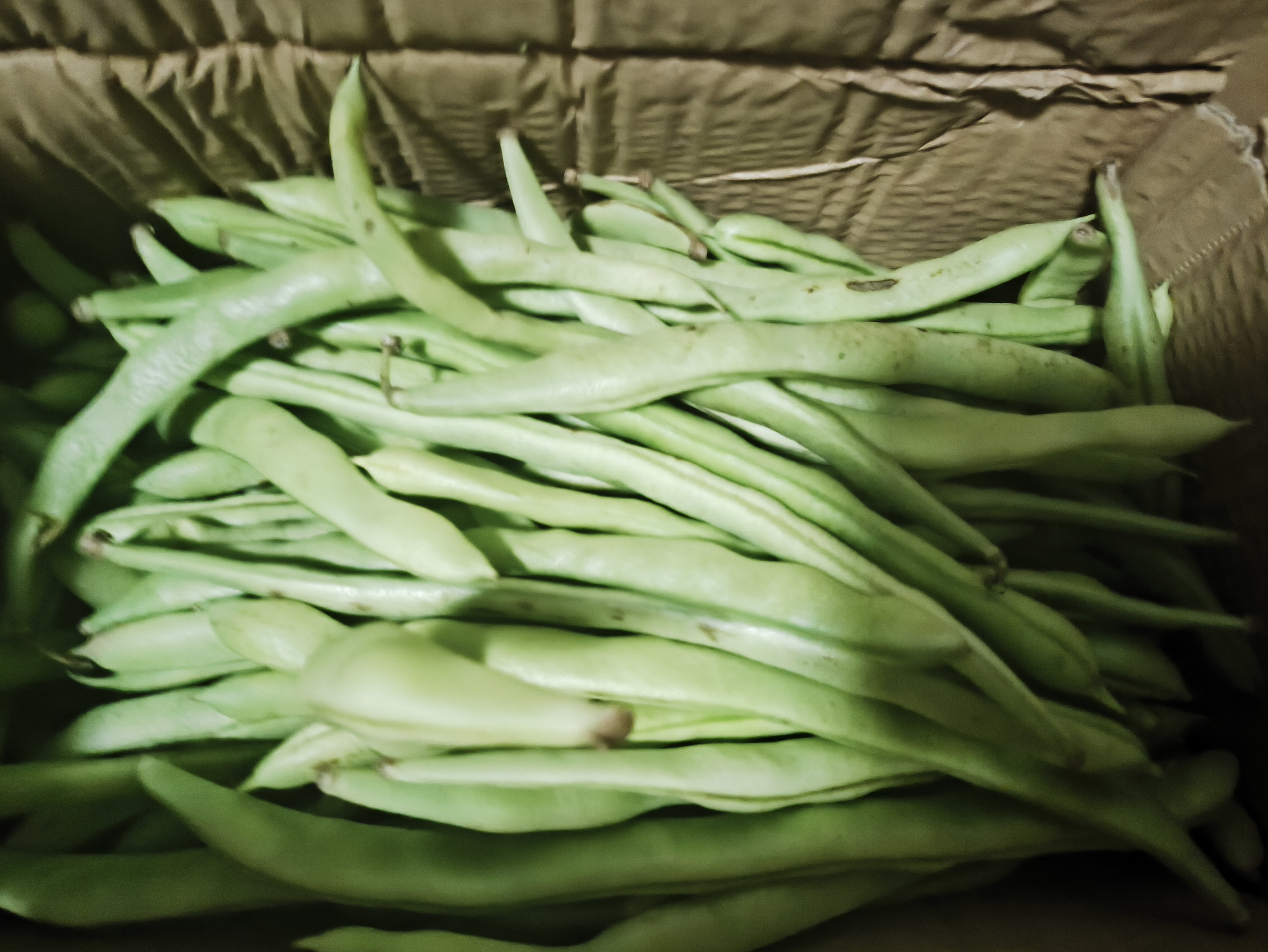 农家四季豆新鲜现摘云南长扁豆角农家应当季蔬菜芸豆现摘菜豆 新鲜四季豆4斤带箱 实拍图