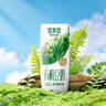 豆本豆 植物有机豆奶植物蛋白质饮料儿童营养早餐奶250ml*12盒礼盒装 实拍图
