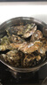 贝司令（BEISILING）【鲜活】乳山生态生蚝牡蛎贝类烧烤源头直发2XL净重4斤 海鲜水产 实拍图