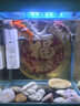 森森 小鲤鱼缸过滤器净水循环三合一内置水族箱过滤系统XQP-500F 6W 实拍图
