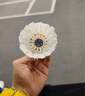 超牌蓝超1号羽毛球专业比赛鸭毛双拼耐打稳定12只装76速 实拍图