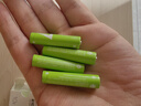 京东京造7号电池10节单色装彩虹碱性电池无汞环保 玩具/血压计/血糖仪/遥控器/挂钟/电子锁/体脂秤/鼠标 实拍图
