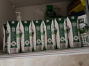 伊利金典纯牛奶整箱 250ml*16盒 3.6g乳蛋白 礼盒装 实拍图