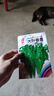 【随种随吃】调料菜种子组合春季四季易种耐热阳台盆栽通种蔬菜 大叶香菜种子1包约1000粒 一包约1000粒 实拍图