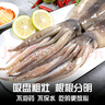 富海锦鲜冻整只大鱿鱼1.6斤 2-3条 火锅烧烤食材 轰炸大鱿鱼海鲜软足 实拍图