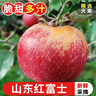 探味君 正宗大凉山丑苹果 当季时令新鲜水果四川冰糖心苹果红富士 生鲜 净重3斤 单果80mm-85mm 实拍图