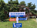 索迪儿童玩具男孩遥控汽车扭变手势感应变形赛跑车六一儿童节生日礼物 实拍图