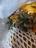 广东徐闻菠萝香水菠萝产地直发 净重4.5-5斤 约3粒  单果650g+ 实拍图