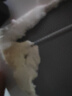康佳100升小冰箱小型家用电冰箱单门冰箱 节能省电低音超薄 迷你宿舍租房BC-100GB1S 实拍图