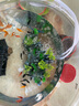 森森鱼缸增氧泵水族箱氧气泵家用小型充氧泵LQE-400 5W双孔+全套配件 实拍图