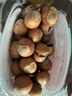 新边界 原味榛子400g/罐  坚果炒货 开口手剥榛果原味大颗粒休闲零食 实拍图
