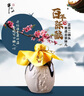 牛栏山二锅头百年陈酿 三牛 浓香型白酒 42度 400ml 单瓶装 实拍图