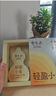 雷允上赤小豆薏米茯苓膏方莲子党参五指毛桃茯苓薏苡仁玉米须绿咖啡粉 实拍图