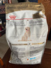 皇家狗粮 拉布拉多老年犬狗粮 宠物大型犬 SLR30 全价犬粮≥5岁 3KG 实拍图