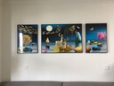 Sixpoetry 客厅装饰画现代简约沙发背景墙壁画轻奢三联晶瓷画大气高档挂画 家和富贵（铝合金外框） 晶瓷画左右50*70+中间100*70亮面 实拍图
