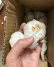 山东大蒜干蒜新鲜白皮精品大蒜 大蒜 100g 3到4头小果3-4厘米 实拍图