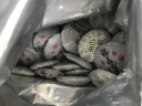 大师传人福鼎白茶小茶饼 白牡丹王紧压小饼茶叶2016年老白茶叶礼盒装1250g 实拍图