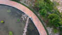 大疆【国家补贴】DJI Neo 畅飞套装 掌上 Vlog 跟拍无人机 4K 高清露营旅行航拍飞行相机 新手飞机 实拍图