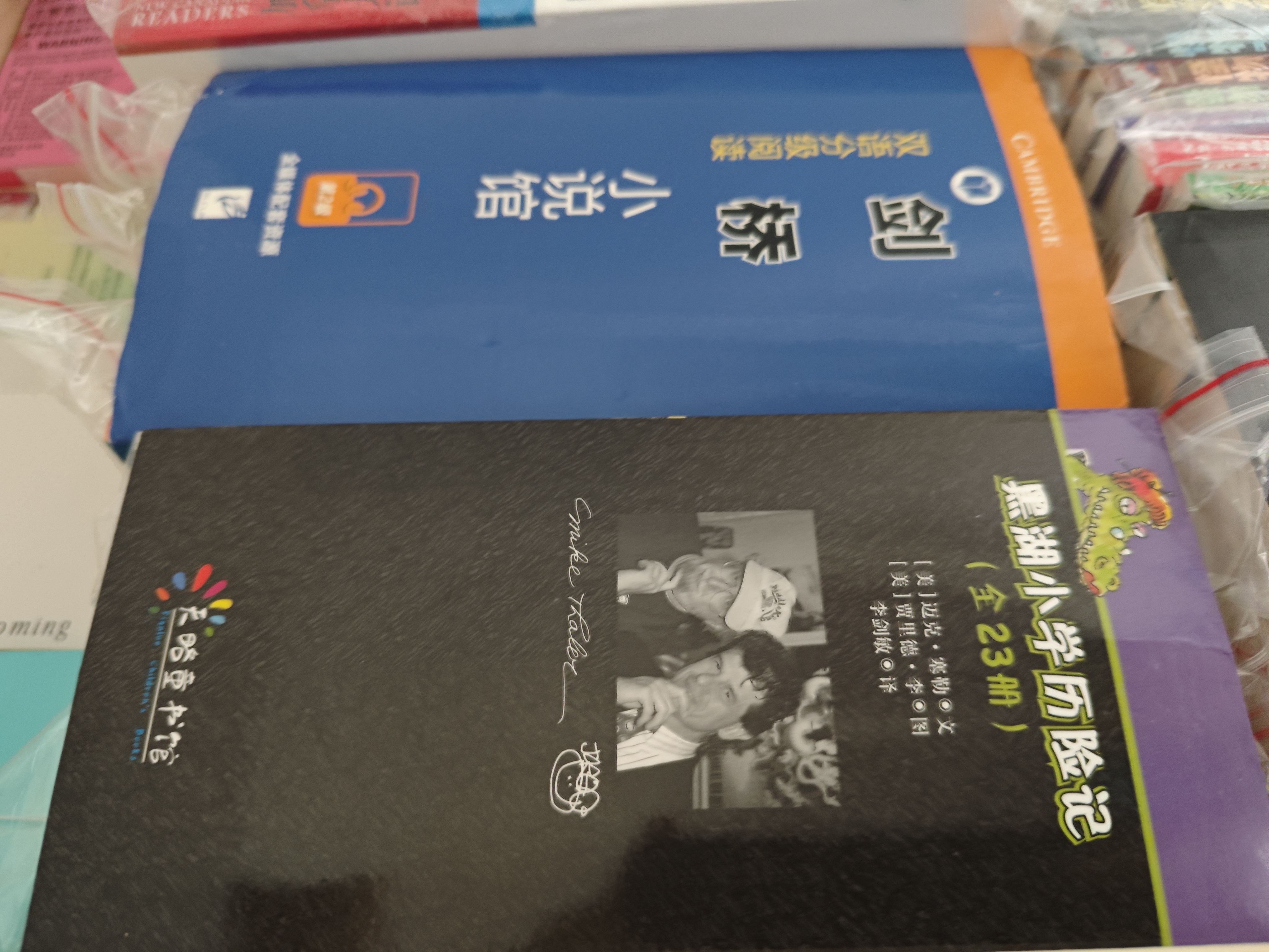 黑湖小学历险记（套装全23册）  暑期阅读 课外推荐 实拍图