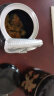 陈一凡 婺源皇菊 菊花茶一杯一朵金丝皇菊贡菊 搭枸杞金银花养生茶25g  实拍图