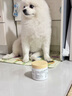 冠能狗粮小型犬成犬狗粮2.5kg 挑食美毛亮眼 全价狗粮  实拍图