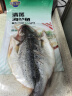 三都港冷冻三去海鲈鱼1斤1条（赠料包）深海鱼 生鲜 鱼类 海鲜水产 实拍图