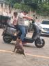 五羊【官方正品】电动摩托车2000W高速大功率电动车男女俩轮代步电动摩托车 科技灰/速度50M/前后双碟/杠箱版 60V26A/全新石墨烯电池/木架发货 实拍图