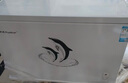 荣事达（Royalstar）小冰柜家用小型冷冻保鲜迷你冷藏商用卧式冷柜单用储母乳柜节能省电 【一级节能 全国联保】单温 228L 实拍图