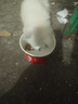 多特思(DOTUS) 幼猫羊奶猫条15g*25支添加益生元幼猫咪零食湿粮 实拍图