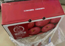 京鲜生 山东栖霞红富士苹果精品12粒 单果190g-240g  生鲜水果 礼盒 实拍图
