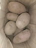 【真便宜】云南红皮土豆高原黄心土豆云南土豆新鲜红皮黄心洋芋 云南红皮土豆 1斤 单果1-3两 实拍图