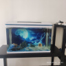 长锐鱼缸客厅大型造景生态超白玻璃家用办公室免换水水族箱 热弯高清/80cm长 实拍图