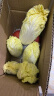 【超市品质】新鲜精品娃娃菜现砍现发小包装新鲜蔬菜生鲜产地直发 新鲜娃娃菜1*(3棵)*2包 实拍图