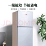 小鸭牌小冰箱迷你小型家用 冷藏冷冻两用宿舍寝室出租房用双门办公室电冰箱节能省电 一级能效-42A118LS银【三天约一度电】 实拍图