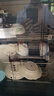 荣事达荣事达消毒柜家用小型厨房餐具碗筷大容量商用带烘干免沥水消毒碗柜立式台式餐饮饭店 D08-88单门3层侧定时款2-3人用 实拍图