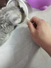 麦德氏羊奶粉猫咪羊奶粉幼猫新生猫咪母猫羊奶粉 IN-KAT A2初乳-200g 实拍图
