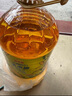 金龙鱼 食用油 非转基因 物理压榨玉米油6.18L（蕴含植物甾醇） 实拍图